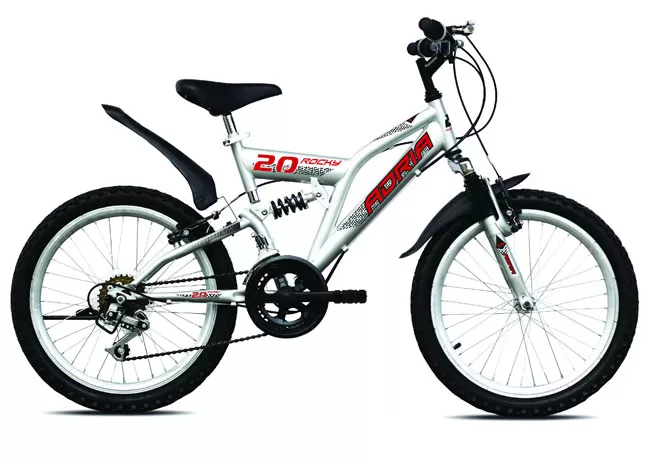 Dečiji bicikl Adria Rocky 20HT Anniversary 916005 siva