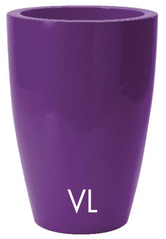 Saksija Evolution Gloss Tylus Violet