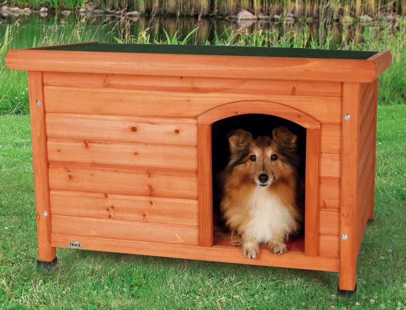 VELIČINA M ZA SREDNJE RASE PASA