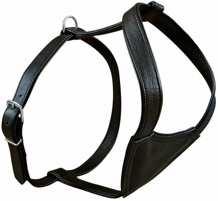 Kožni am za pse veličina M Activ Trixie 17971