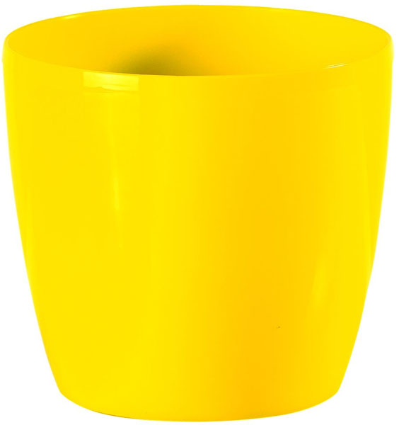 Saksija Stars 20 žuta