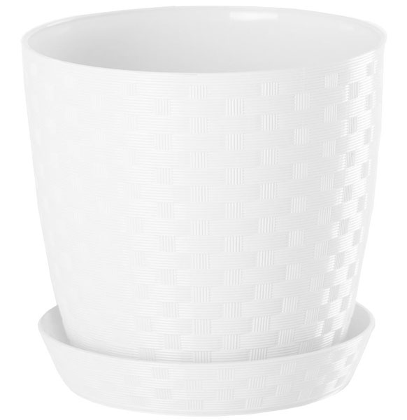 Saksija Stars ratan 20 bela