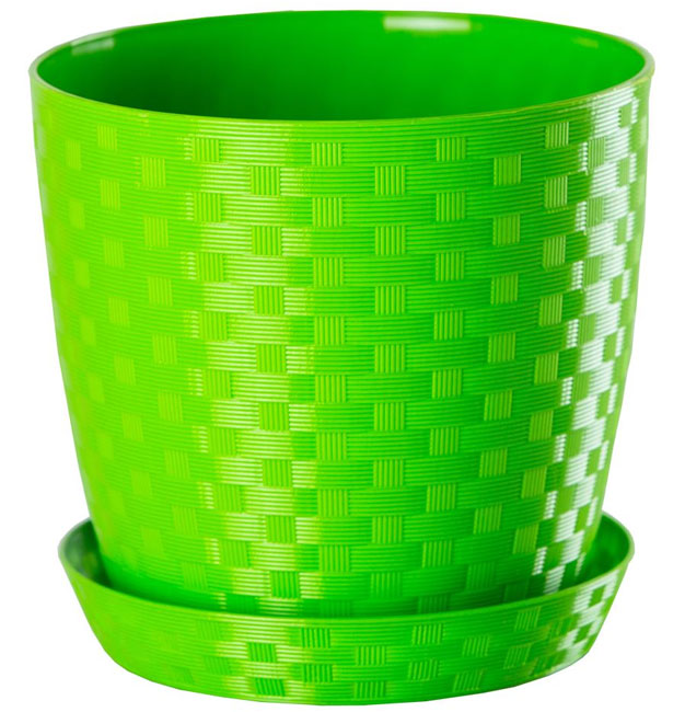 Saksija Stars ratan 20 zelena