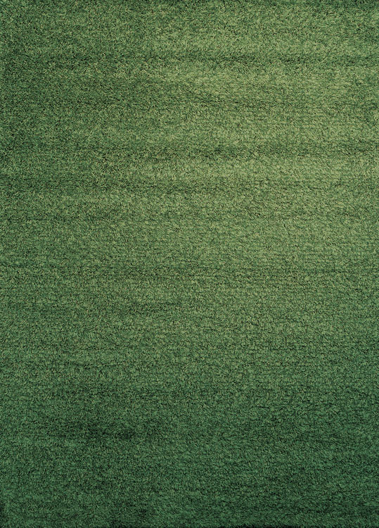 Tepih Ekol Shaggy 25 965 Green 120x170 cm