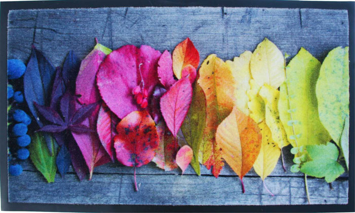 Ekol otirač Charleston 5 40x60