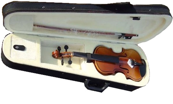 Violina Moller 4/4 15