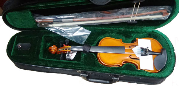 Violina Moller 1/16 587