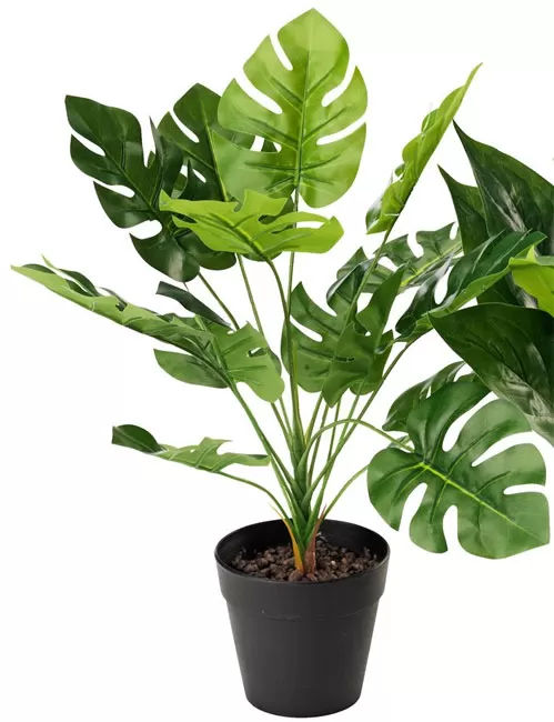 Veštačka biljka Filadendron 30cm