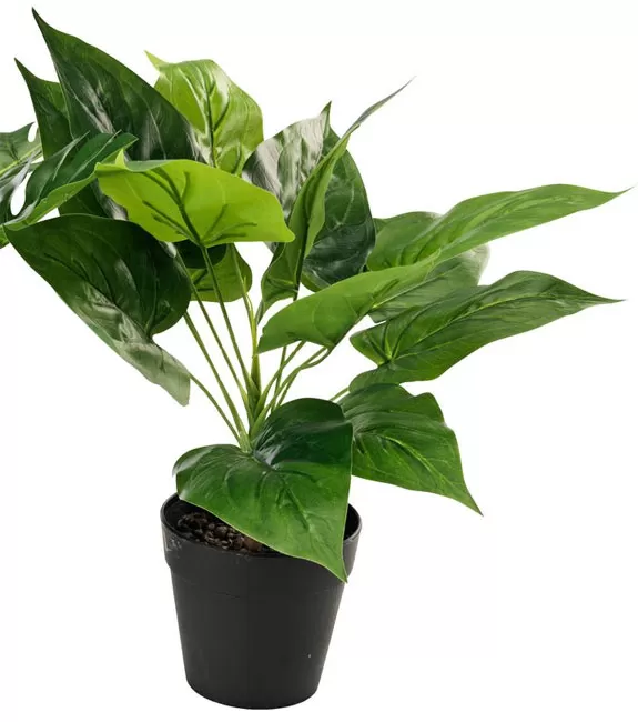 Veštačka biljka Adam 30cm