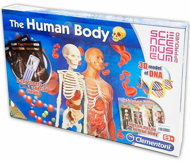 Clementoni Naučni set Ljudsko telo CL61281 - Image 1