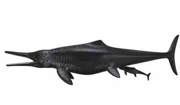 Collecta Dinosaurus Temnodontosaurus CT88724