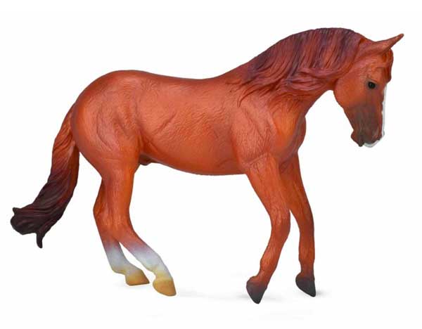 Collecta Figura Australijski Konj CT88712