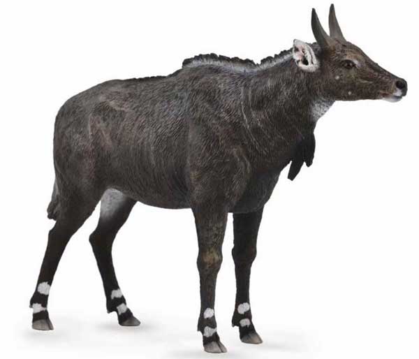 Collecta Figura Nilgai CT88764