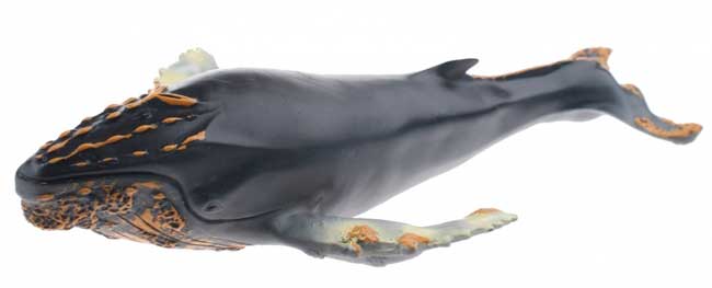 JohnToy Animal World Grbavi Kit 25244