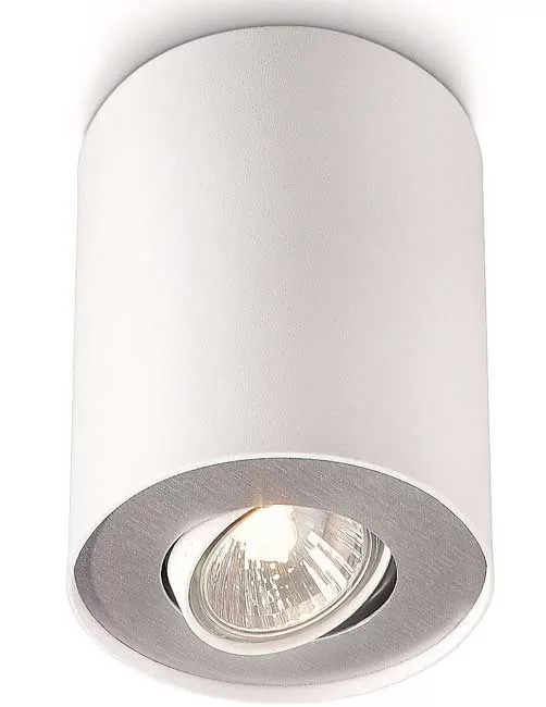 Philips Dimabilna spot lampa Pillar 56330/31/16