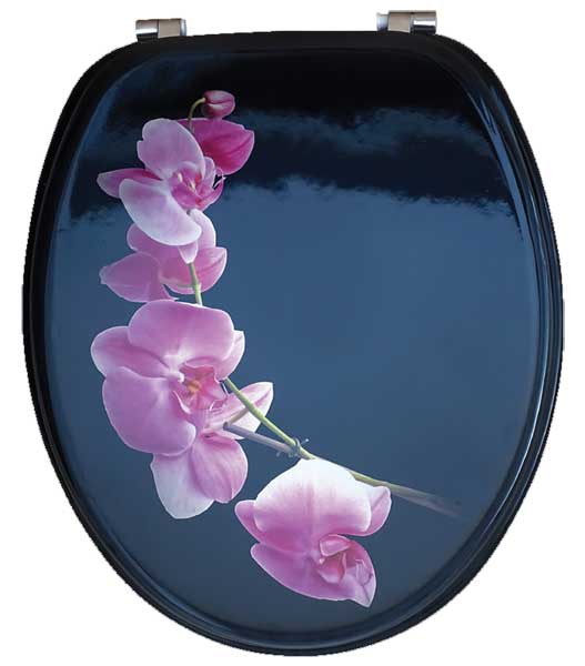 Laguna Daska za toalet od lakiranog medijapana DKSK626