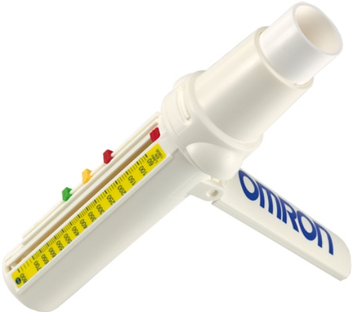 Indikator maksimalnog protoka vazduha PFM20