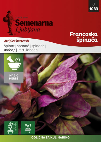 Francuski spanać - seme - Atriplex hortensis 1083 - Image 1