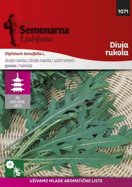 Seme za začinsko bilje - Divlja rukola - Diplotaxis tenuifolia 1071