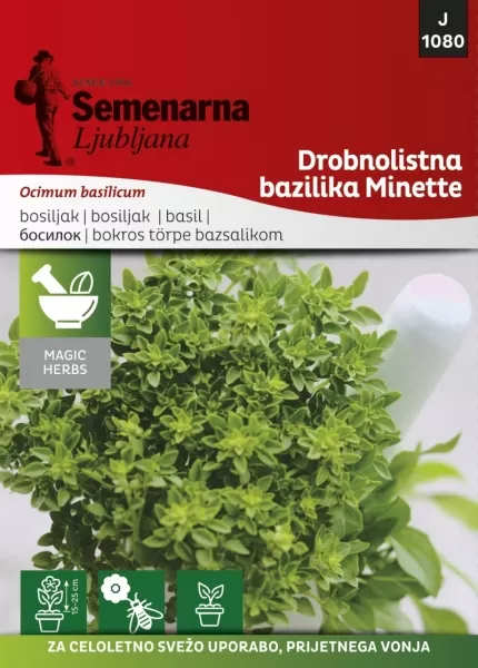 Seme za začinsko bilje - Grčki Bosiljak - Ocimum basilicum L. 1080