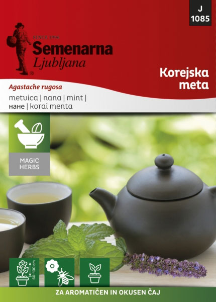 Začinsko bilje - seme - Korejska nana - Agastache rugosa 1085