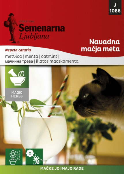 Seme - Mačija trava - Nepeta cataria 1086 - Image 1