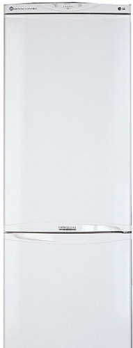 LG kombinovani frižider GR-389SQF