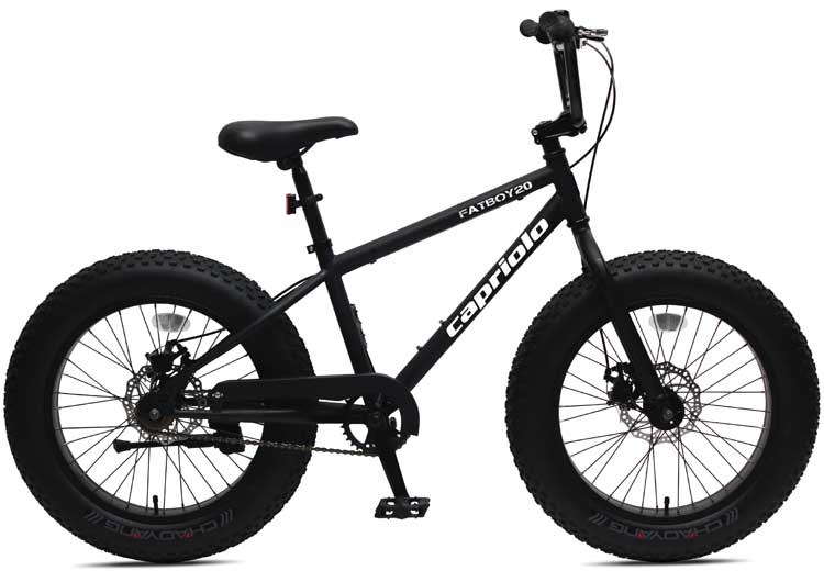 Bicikl Capriolo FatBoy 20 916201-11