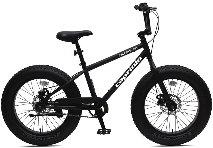 Bicikl Capriolo FatBoy 20 916201-11