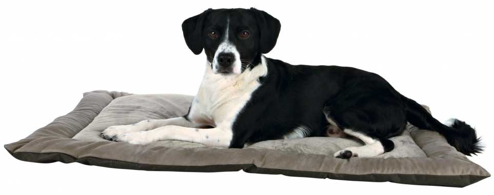 Prostirka za psa King Of Dogs 70cm Trixie 37944