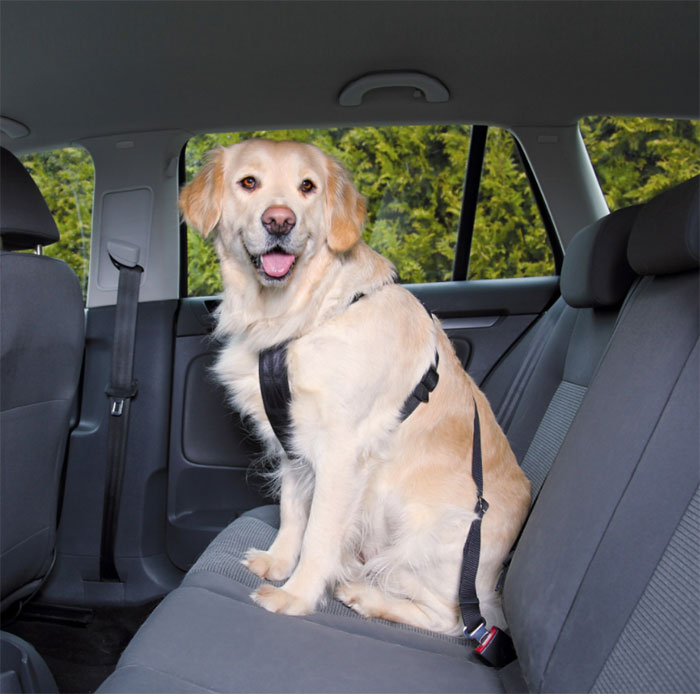 Sigurnosni pojas za psa prilikom vožnje u autu veličina L Trixie 1292