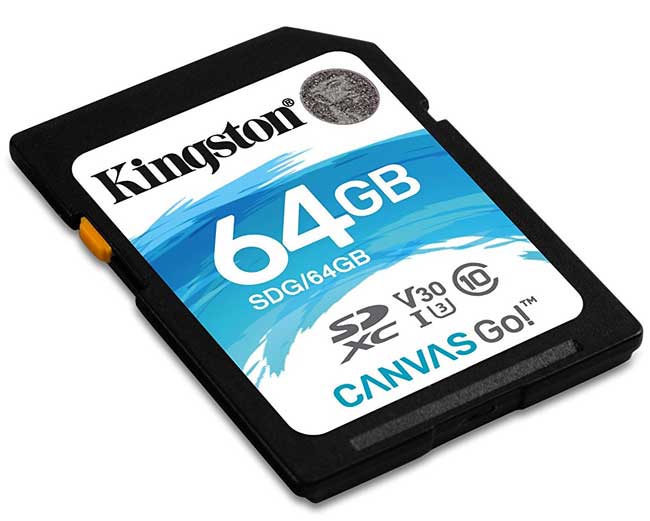 Kingston Canvas Go! Memorijska kartica SDG/64GB