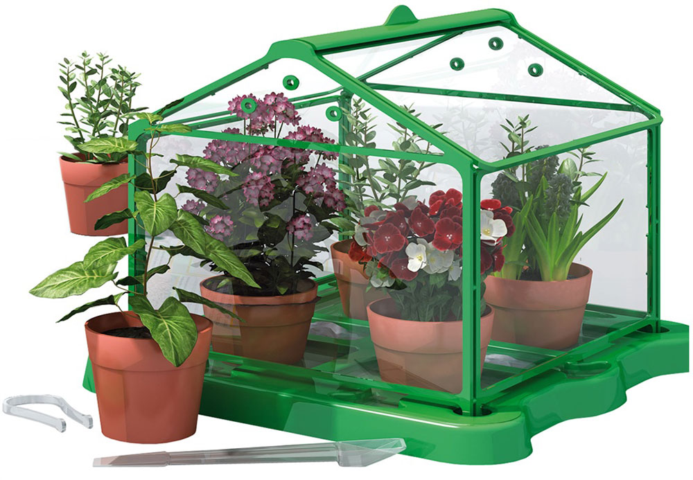 Mali Genije - Edukativna igra - Botanička bašta