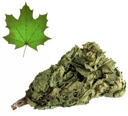 Oprema za saune - Grančice javora 3402272