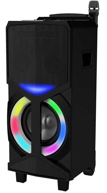 Vivax Prenosni Bluetooth karaoke zvučnik BS-300