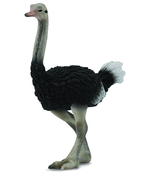 CollectA Figurice Divlje životinje - Noj CT88459