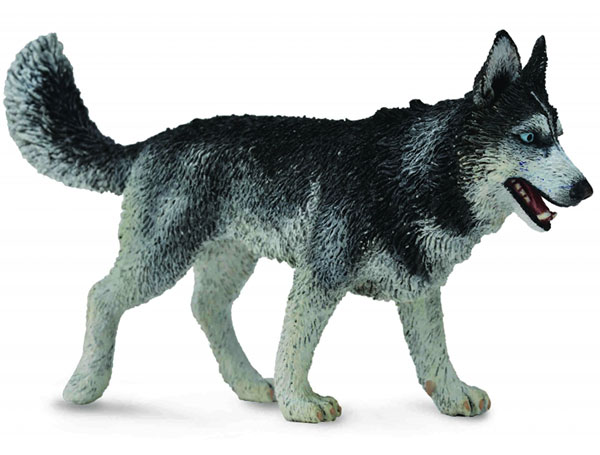 CollectA Figure Domaće životinje - Sibirski haski CT88707