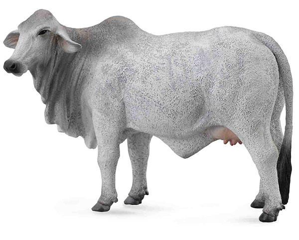 CollectA Figurice Domaće životinje - Bramanska krava CT88580