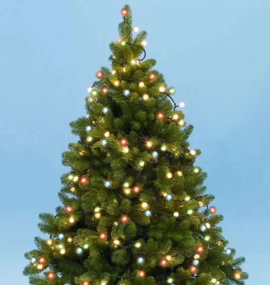 Novogodišnje višebojne lampice za jelku sa 50 LED dioda KII50B/M