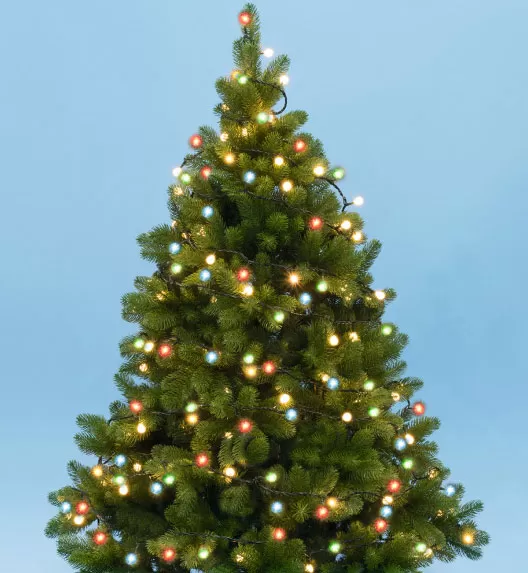 Novogodišnje lampice za jelku 100 višebojnih LED dioda KII100B/M