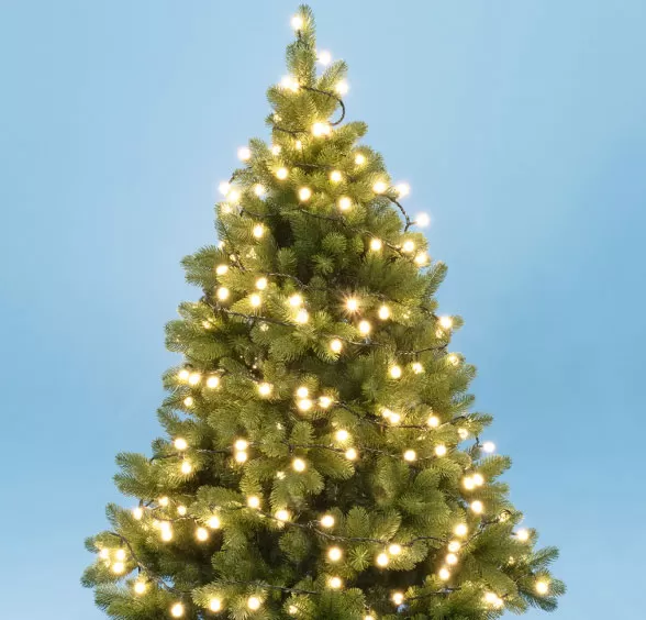 Novogodišnje lampice za jelku 100 toplo belih LED dioda KII100B/WW