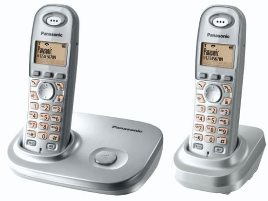 Bežični fiksni telefon Panasonic KX-TG7302FXS