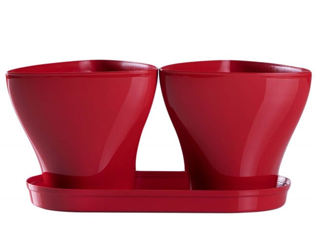 Saksije za cveće sa tacnom Jazz Mix and Play Crvena