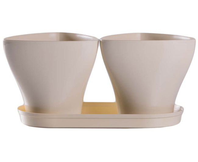 Saksije za cveće sa tacnom Jazz Mix and Play Krem