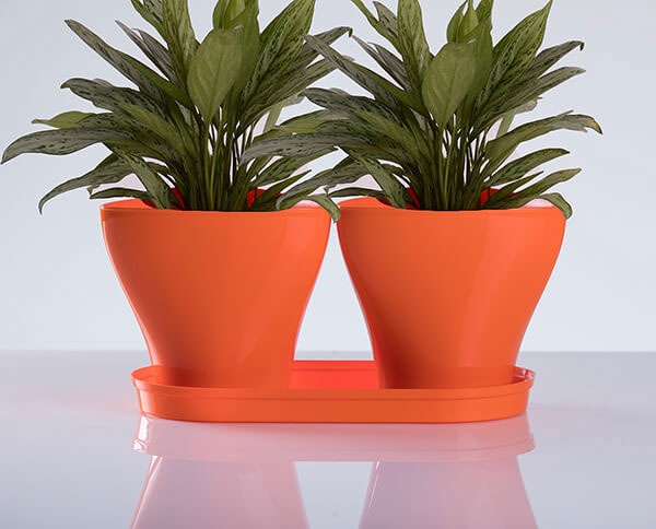 Saksije za cveće sa tacnom Jazz Mix and Play Narandžasta