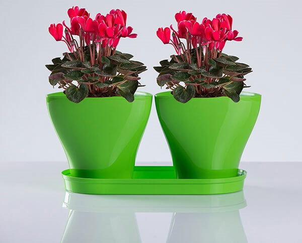 Saksije za cveće sa tacnom Jazz Mix and Play Zelena