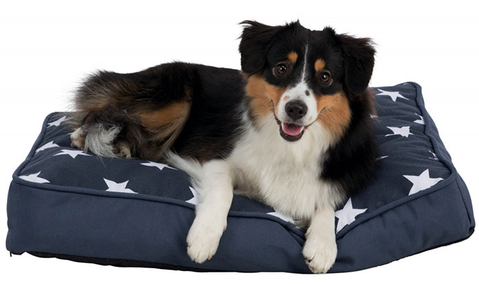 Trixie Jastuk za pse Stars 70cm dark blue 36376
