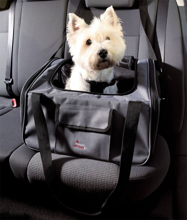 TRANSPORT U AUTOMOBILU