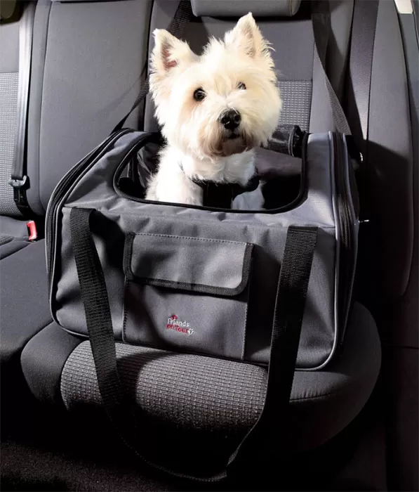 TRANSPORT U AUTOMOBILU