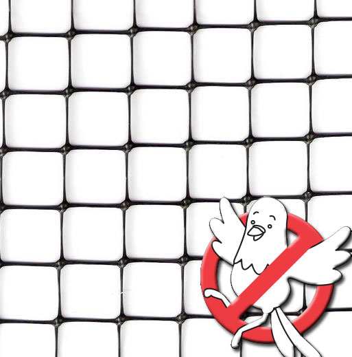 ZAŠTITA OD GOLUBOVA